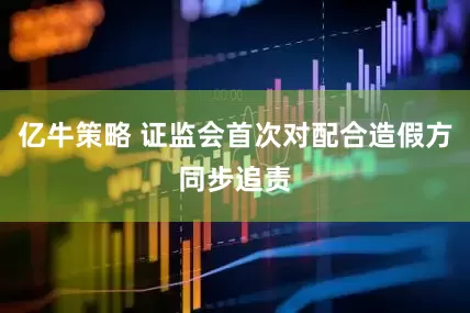 亿牛策略 证监会首次对配合造假方同步追责